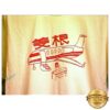 kenny Ginger Root Merch Store Ginger Root Airplane Shirta