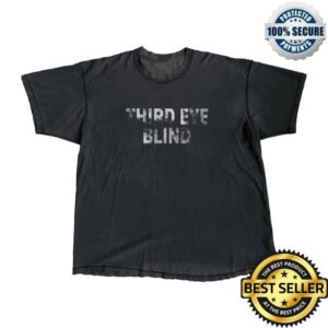 Third Eye Blind Merch Store Faded Tee