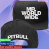 kenny pitbull music store merch mr worldwide snapback hatpsdd