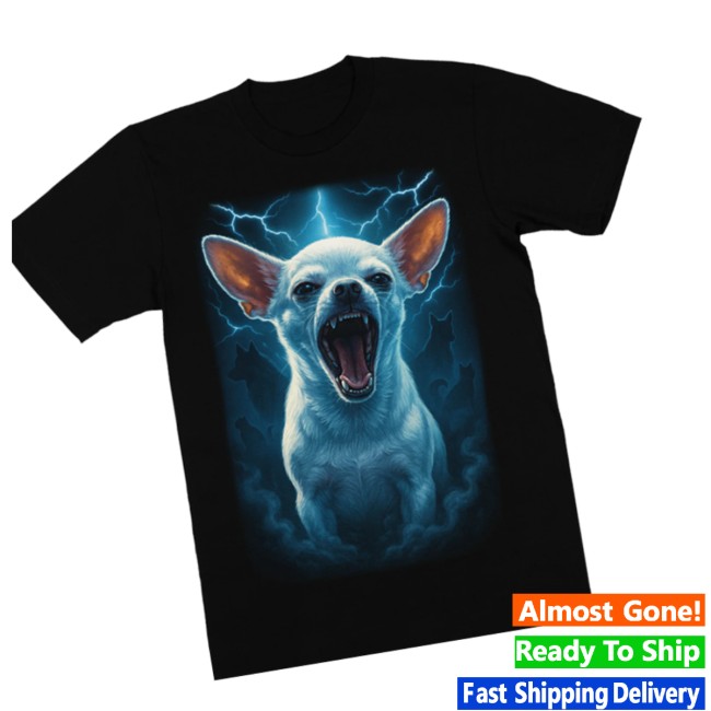 Everydaydays Store Merch Panchostein T-Shirt Everydaydays Store Merch Panchostein T-Shirt