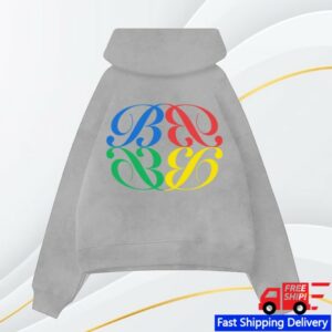 Brocade Store Merch E-Ch Washed Grey Hoodie