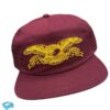 kenny seasons skate shop store merch anti hero basic eagle hat dpng we