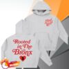 kenny bronx native shop store merch rooted in the bronx essential oversized boxy fit fleece hoodie wpsdd