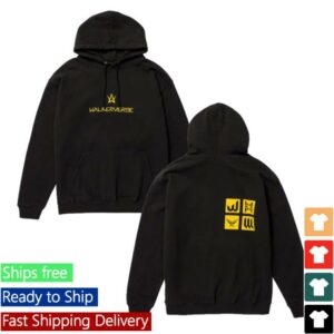 Alan Walker Merch Store Walkerverse 2.0 Hoodie