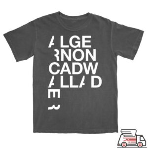 Pillowhead Merch Store Logowallader T-Shirt