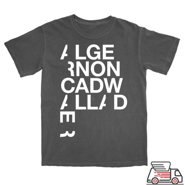 Pillowhead Merch Store Logowallader T-Shirt Pillowhead Merch Store Logowallader T-Shirt