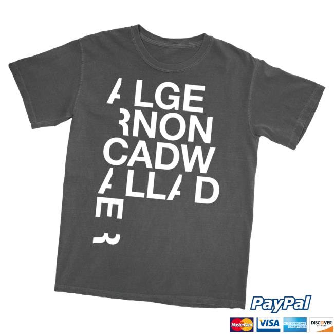 Pillowhead Merch Store Logowallader T-Shirt Pillowhead Merch Store Logowallader T-Shirt