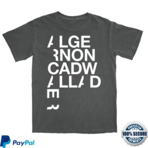 Pillowhead Merch Store Logo Wallander T-Shirt