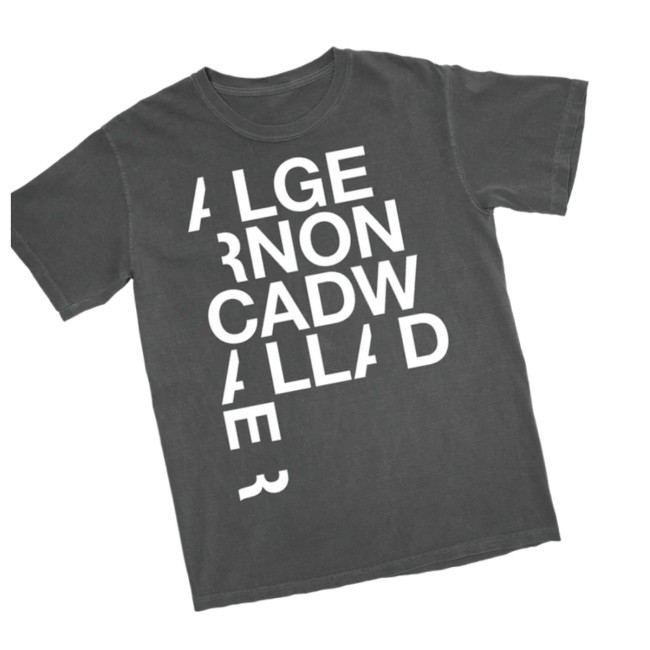 Pillowhead Merch Store Logo Wallander T-Shirt Pillowhead Merch Store Logo Wallander T-Shirt