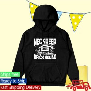 Armada Merch Store You Should See Me Now Hoodie