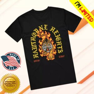 Hot Topic Store Merch Hawthorne Heights Tiger T-Shirt