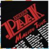 kenny Anderson Paak Merch Store Malibu Badge Tour Hoodieaaaa