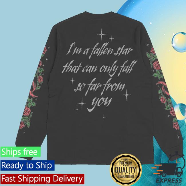 Halestorm Store Merch Shop Fallen Star Long Sleeve 5 Halestorm Store Merch Shop Fallen Star Long Sleeve