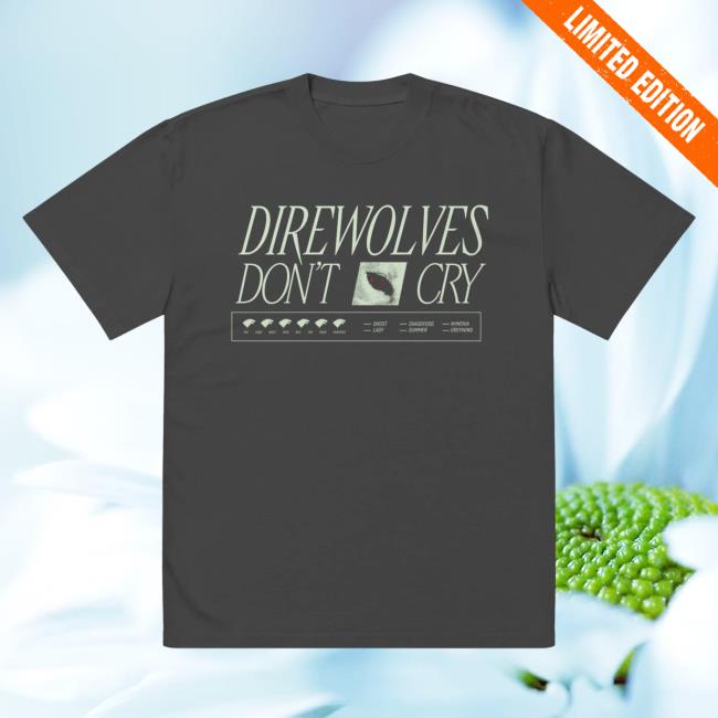 Wbshop Merch Store Game Of Thrones Direwolves Don't Cry Oversized Faded T-Shirt 2 Wbshop Merch Store Game Of Thrones Direwolves Don't Cry Oversized Faded T-Shirt
