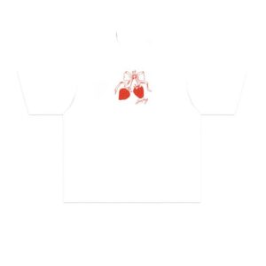 Laufey Merch Store Shop Strawberry Tee