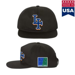 Pure Noise Records Merch Store Koyo Barely Here Black Snapback