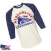 Thedomeswap Store Merch Streamline Cannonball Raglan Shirt
