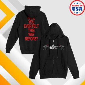 Wallows Store Merch Shop Angel Zip Hoodie