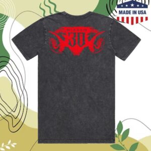 Blizzard Gear Merch Store Shop Diablo 30Th Anniversary Grey T-Shirt