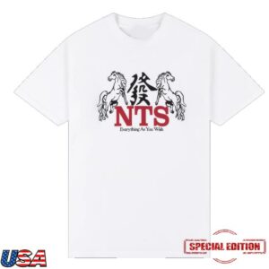 Nts Shop Merch Store Neon Flaming Horse Tee