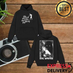 Birdsrobe Merch Store The Sound Of Animals Fighting Evil Sprites Hoodie Black