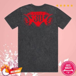 Blizzard Store Merch Diablo 30Th Anniversary Grey T-Shirt