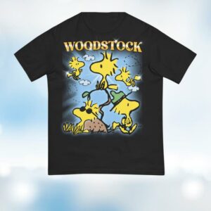 Peanuts Store Merch Peanuts Heartthrob Comfort Colors T-Shirt Woodstock