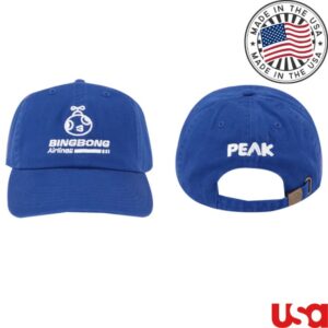 Fangamer Store Merch Peak Bingbong Airlines Hat