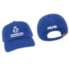 Fangamer Store Merch Peak Bingbong Airlines Hat