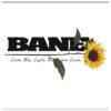 Bane Store Merch Bane Sunflowers And Sunsets Shirt