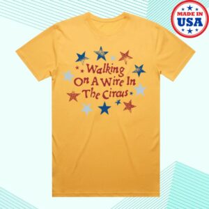 Counting Crows Store Merch Walking On A Wire T-Shirt