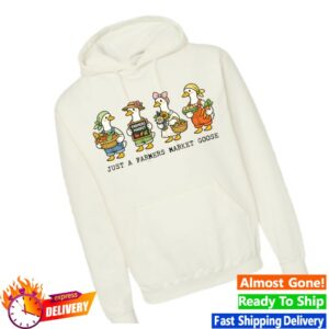 Michigan Storm Chasers Store Merch Spring Merch Hoodies