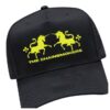 Sum 41 Store Merch Aknf Trucker Hat
