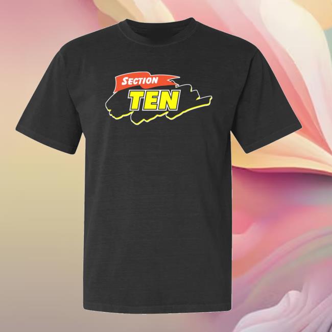 Section 10 Merch Store Cartoon T-Shirt