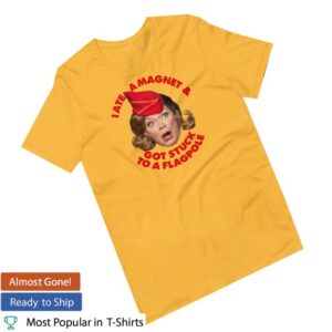 World Of Wonder Store Merch I Ate A Magnet And Got Stuck To A Flagpole Shirt