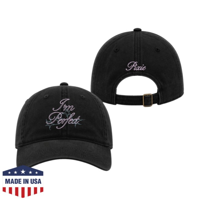 Oliviaobrien Store Merch I'm Perfect Dad Hat 3 Oliviaobrien Store Merch I'm Perfect Dad Hat