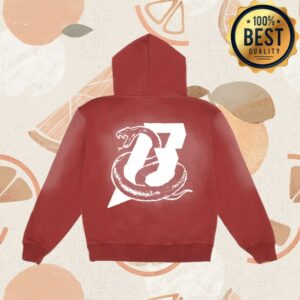 Beartooth Band Store Merch Beartooth Premium Faded Hoodie