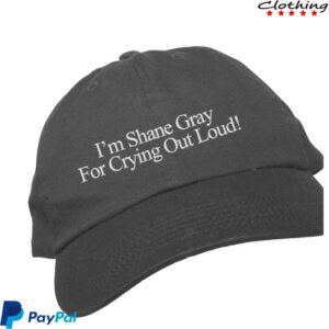 Jonas Brothers Store Merch I’m Shared Gray For Crying Out Loud Hat
